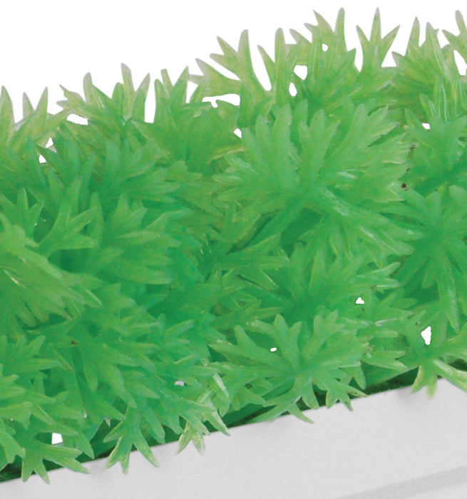 Light Green Heavy Duty Garnish Divider White Base