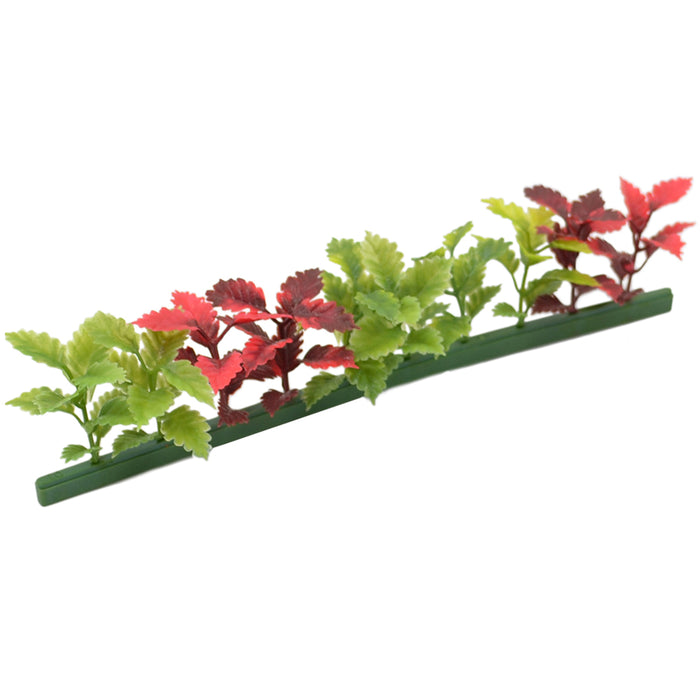 Garnish Refill Red/Green Coleus 250mm (12 Pack)