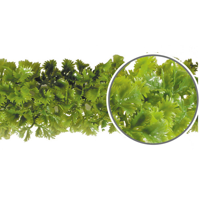 Luxury Parsley Garnish Black Base 750mm