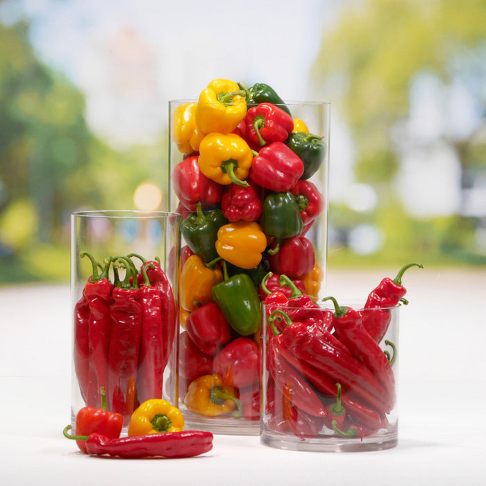 Clear PC Display Container