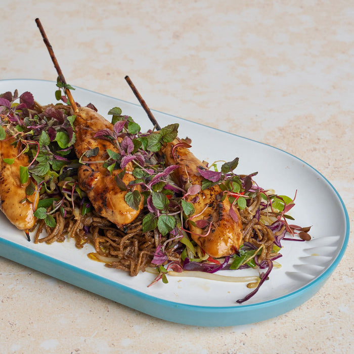 Talon Cherry Melamine Pill Plate 329x117x28mm