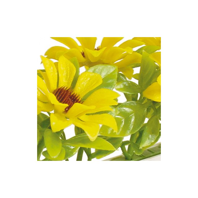 12 Pack Sunflower Garnish Divider By Dalebrook 